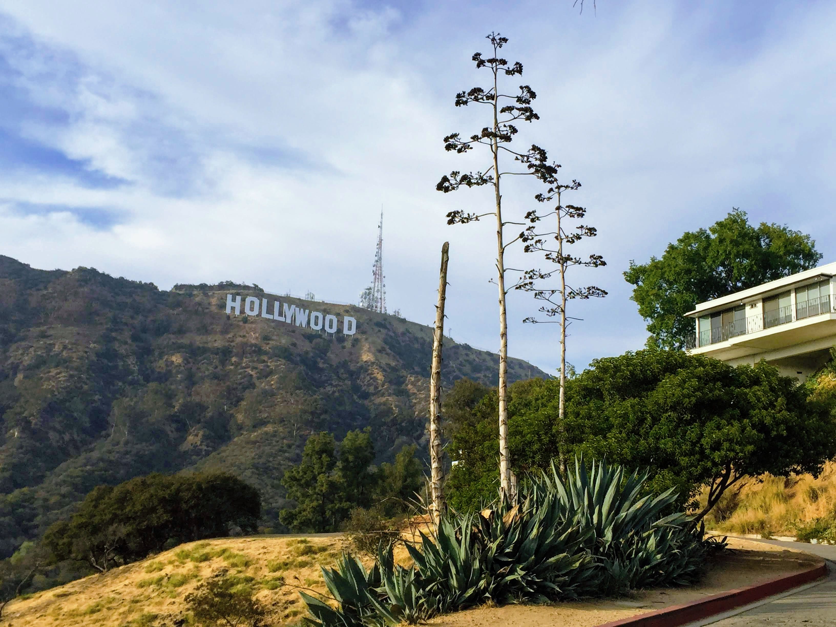 Lake Hollywood Park (Hollywood Sign) - Los Angeles, CA