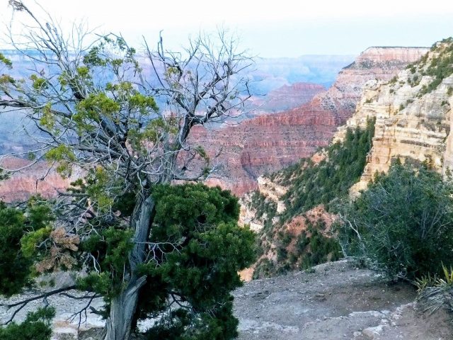 Grand Canyon Arizona - 2 (2)
