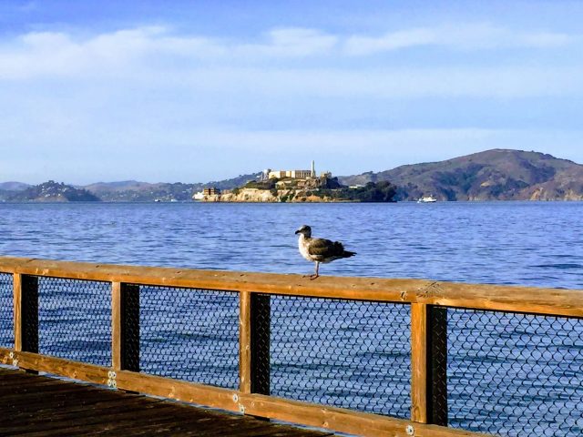 Overlooking Alcatraz Island - San Francisco, CA